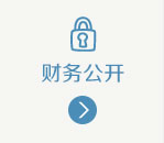 财务公开